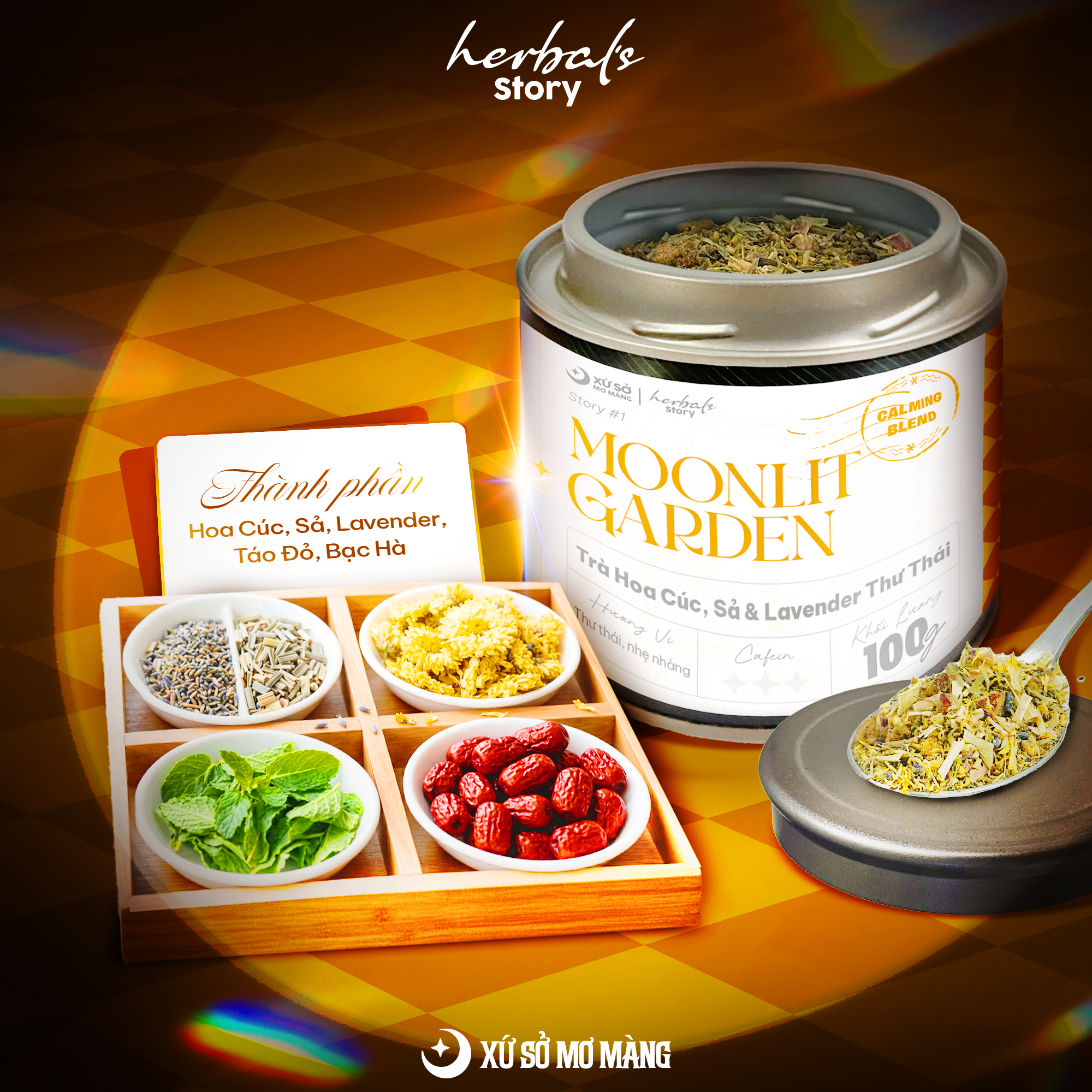 TRÀ HOA CÚC & LAVENDER THƯ THÁI - MOONLIT GARDEN